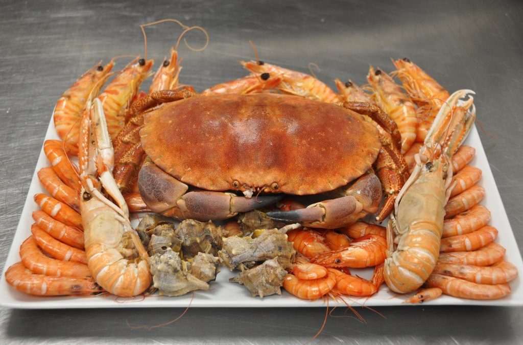 Operación bikini ON