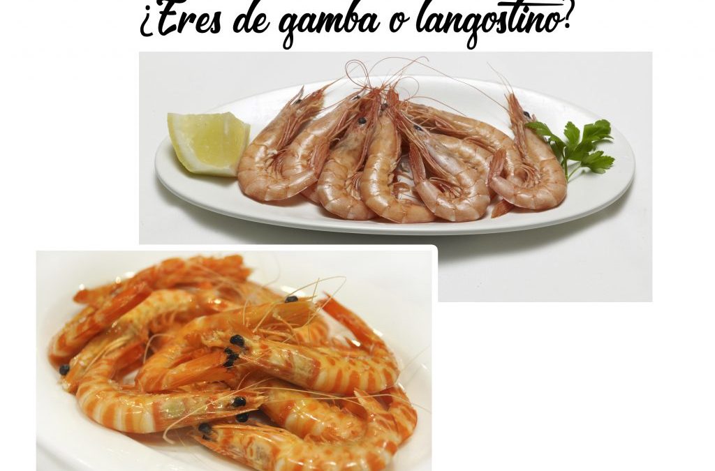 ¿Eres más de gamba o langostino?
