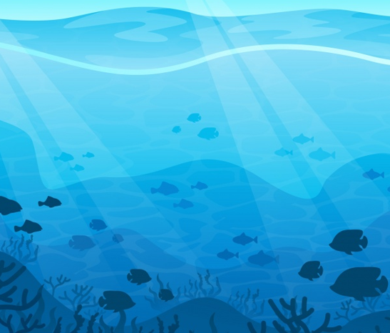 Curiosidades sobre las aguas del mar