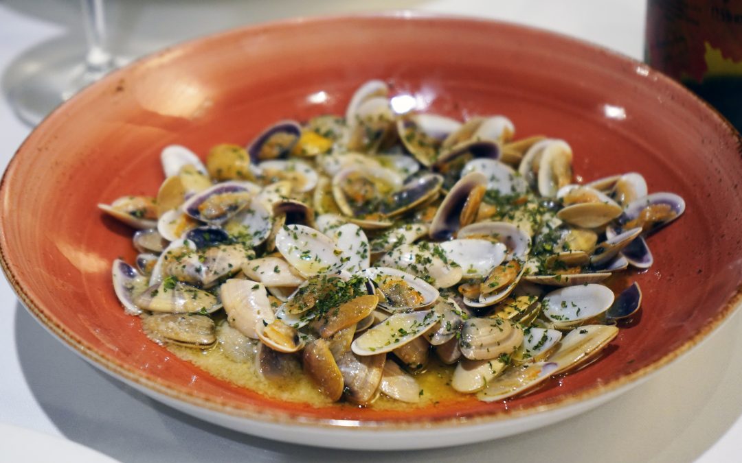 Las coquinas nos encantan